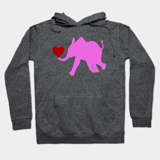 BABY ELEPHANT Hoodie